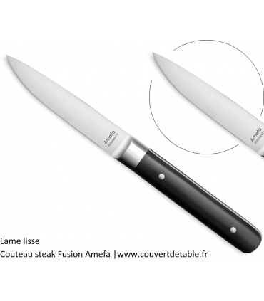 Couteau steak Fusion manche ABS 2 rivets | www.couvertdetable.fr