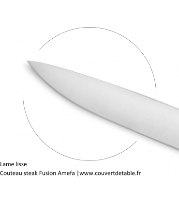 Couteau steak Fusion manche ABS 2 rivets | www.couvertdetable.fr