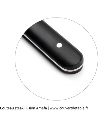 Couteau steak Fusion manche ABS 2 rivets | www.couvertdetable.fr