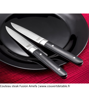 Couteau steak Fusion manche ABS 2 rivets | www.couvertdetable.fr