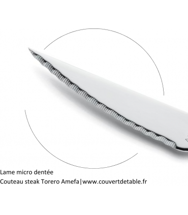 Couteau steak Torero tout inox  Amefa| www.couvertdetable.fr