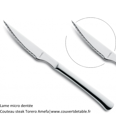 Couteau steak Torero tout inox  Amefa| www.couvertdetable.fr