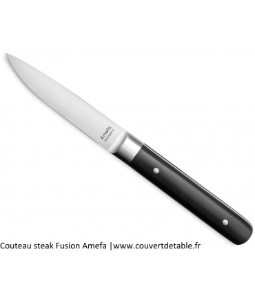 Couteau steak Fusion manche ABS 2 rivets | www.couvertdetable.fr