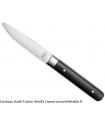 Couteau Steak Fusion, manche ABS avec 2 rivets