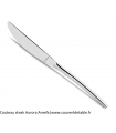 Couteau Steak Standing Aurora