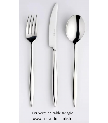 menagere adagio, couvert adagio eternum 18/10 | www.couvertdetable.fr