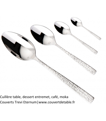 Trevi, couteau de table, couteau dessert, couverts inox Eternum inox 18/10 |  www.couvertdetable.fr