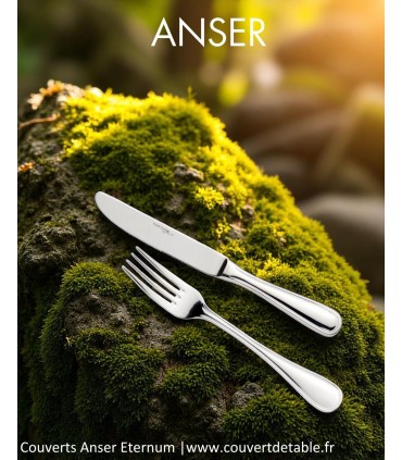 Anser, couverts inox 18/10 Eternum  |  www.couvertdetable.fr