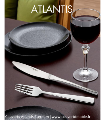 Atlantis couverts inox 18/10 Eternum  |  www.couvertdetable.fr
