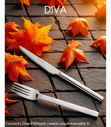 Diva, couverts inox 18/0 Eternum | www.couvertdetable.fr