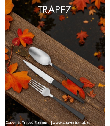 Trapez, couverts inox 18/0 Eternum  |  www.couvertdetable.fr