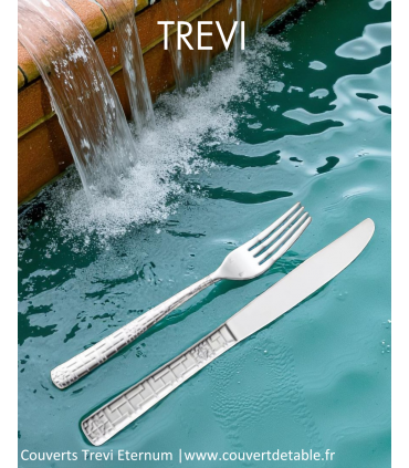 Ménagère Trevi 24-48 pièces Eternum inox, couvert Trevi eternum 18/10| www.couvertdetable.fr