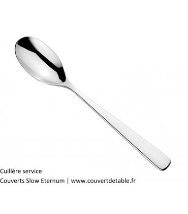 Cuillère service couvert Slow eternum 18/10 | www.couvertdetable.fr