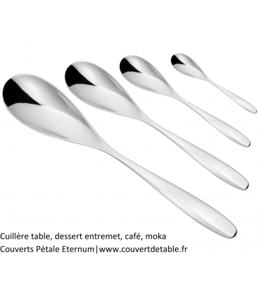 Cuillère table, dessert entremet, café, moka
Couverts Pétale Eternum 18/10|www.couvertdetable.fr