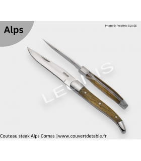 Couteau Steak Alps Aigle Royal, manche bois | www.couvertdetable.fr