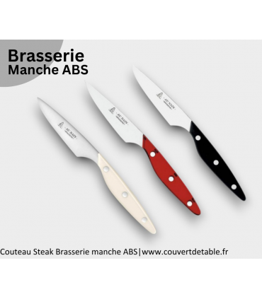 Couteau Steak Brasserie manche ABS| www.couvertdetable.fr