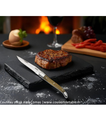 Couteau Steak Alps Aigle Royal, manche bois | www.couvertdetable.fr