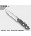 Couteau steak Hercule Amefa manche bois pakka lame microdentée