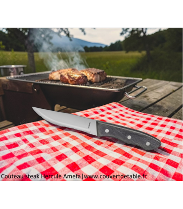 Couteau steak Hercule noir Amefa manche bois, lame micro dentelée| www.couvertdetable.fr