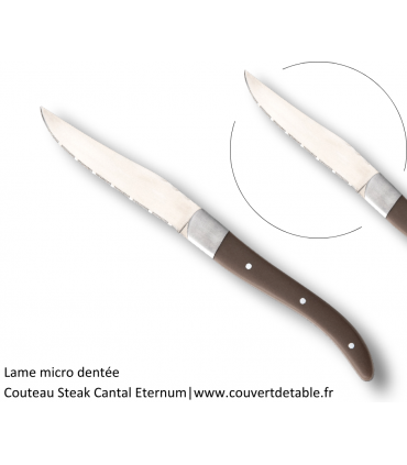 Couteau Steak Cantal, manche ACR| www.couvertdetable.fr