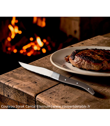 Couteau Steak Cantal, manche ACR| www.couvertdetable.fr