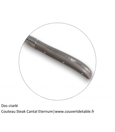 Couteau Steak Cantal, manche ACR| www.couvertdetable.fr