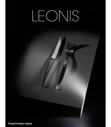 JET de "LOU LAGUIOLE" , couvert inox Amefa