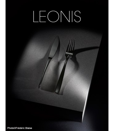 ATLANTIS, MENAGERE 12 PIECES INOX ETERNUM