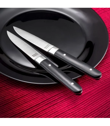 Couteau à steak lame lisse ou dentée, manche carré ABS