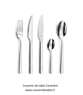 Caractère, couverts inox Amefa|  www.couvertdetable.fr