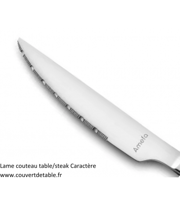 couteau table et steak Caractère, couverts inox Amefa|  www.couvertdetable.fr