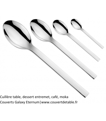 Galaxy, cuillère table, dessert,cafe, moka couverts inox 18/10 Eternum | www.couvertdetable.fr